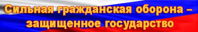 Защитить страна. Сильная Гражданская оборона защищенное государство. Надпись Гражданская оборона в России. Лозунги по гражданской обороне. Надпись го и ЧС.